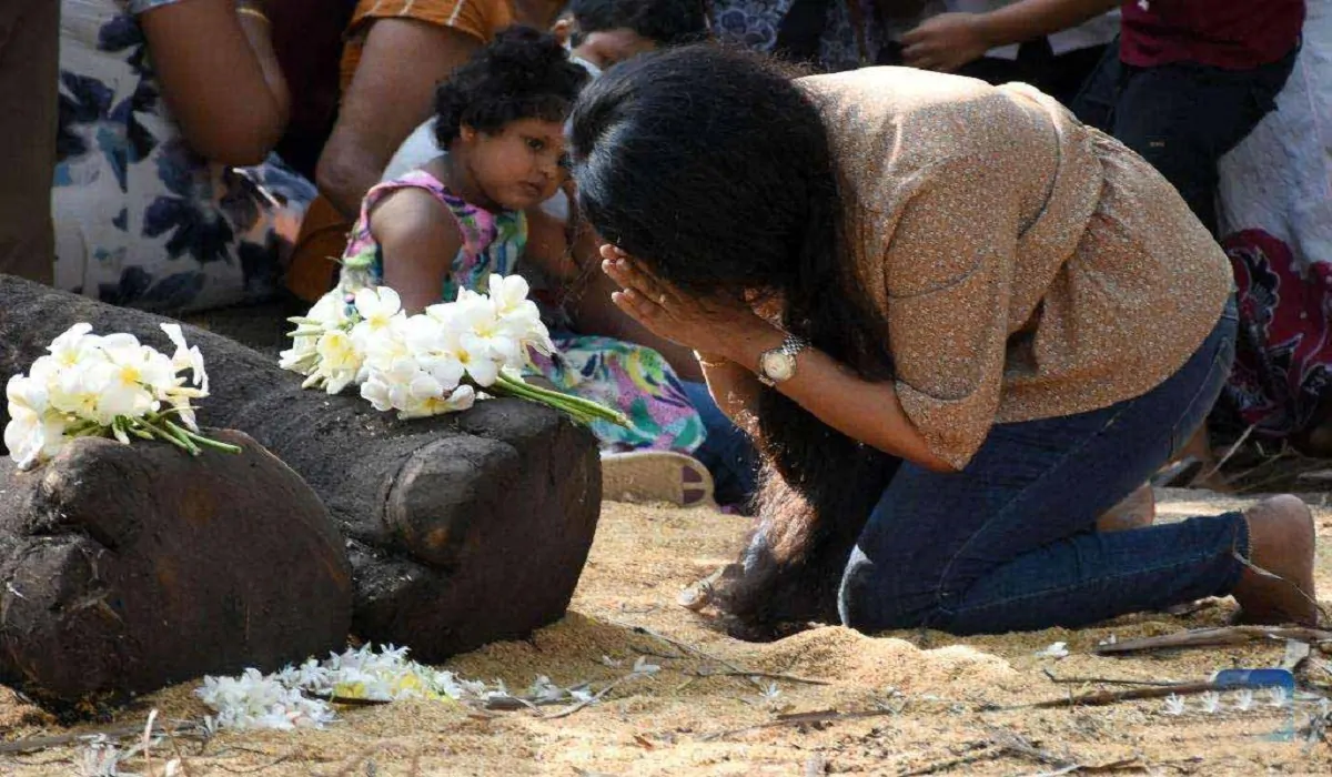 Sri Lanka, funerali di Stato per dire addio a un elefante speciale