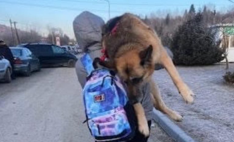 Ucraina cane in spalla
