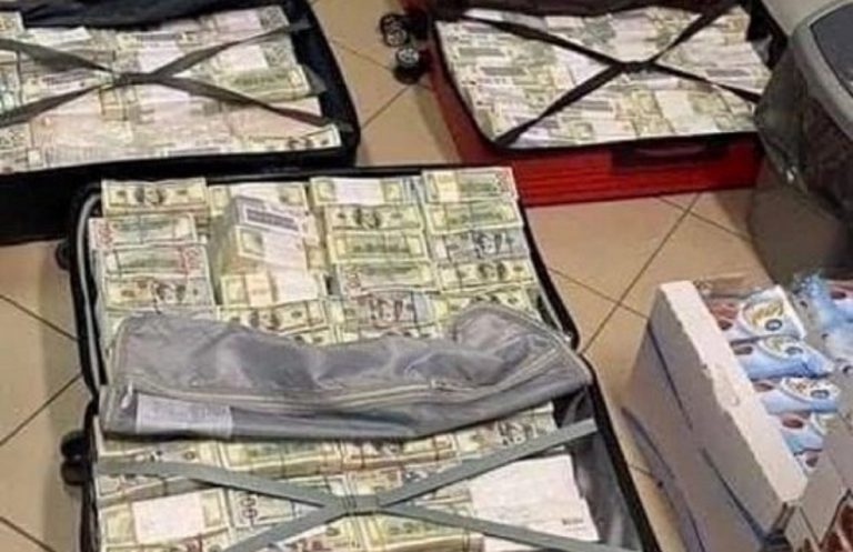 Le valigie piene di denaro sequestrate alla donna