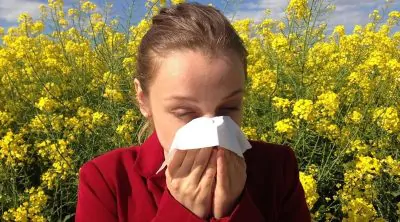 allergie