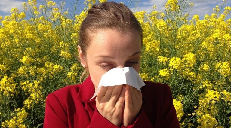 allergie