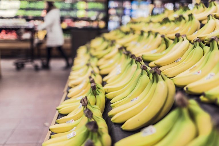Le indicazioni Ue sull'accesso al cibo
