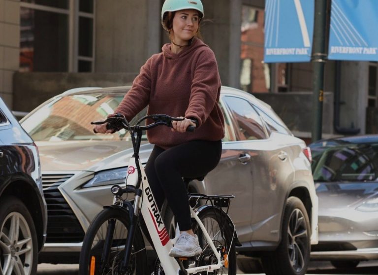 biciclette elettriche