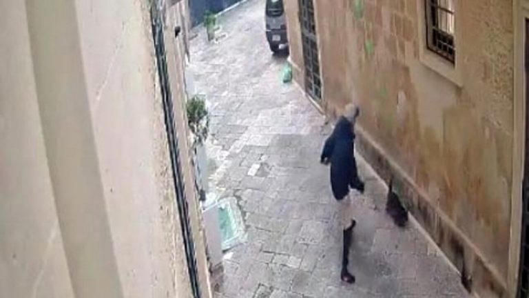 lecce gatto ucciso
