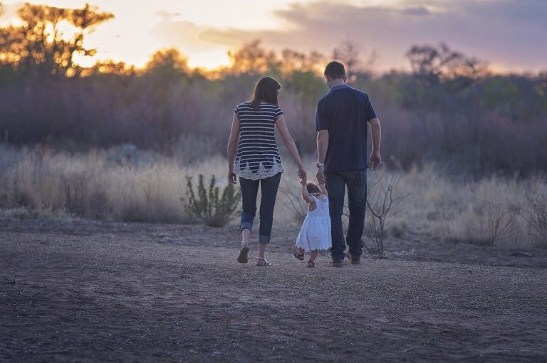 Istat famiglie in Italia