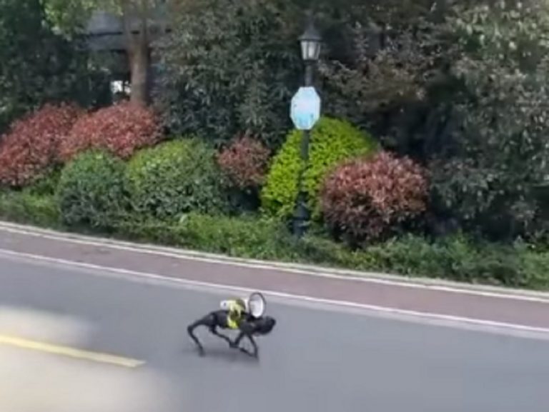 Un cane robot con megafono nelle vie di Shangai