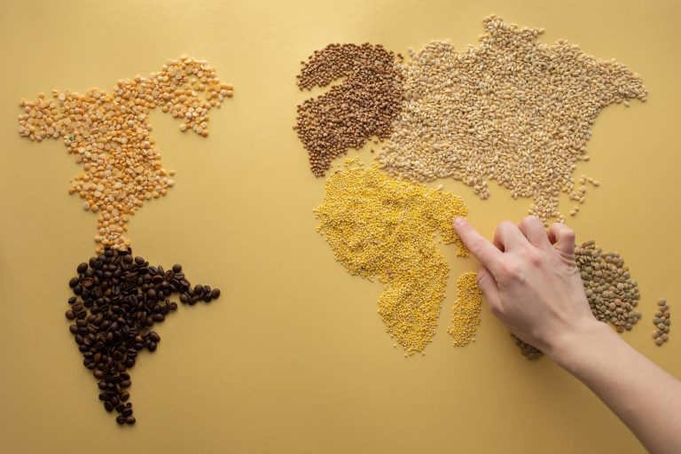 fao allarme prezzi alimentari