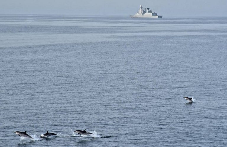 Delfini e marine militari: il connubio c'è da tempo