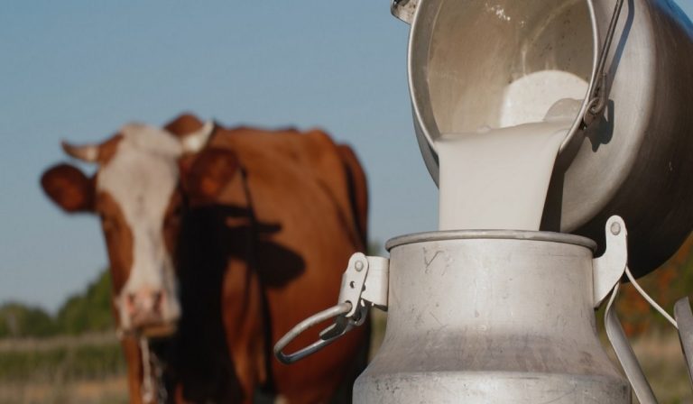 Costi insostenibili, rincari anche per il latte