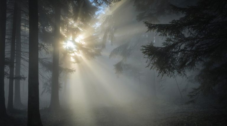 nebbia