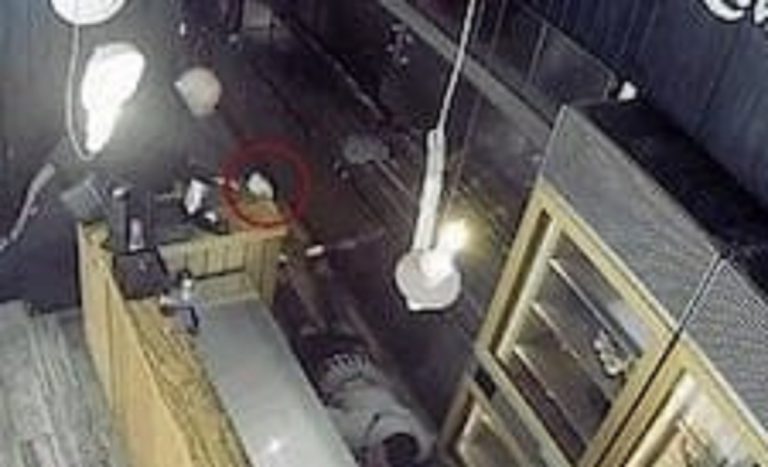 Pecorale mentre fa fuoco sul giovane