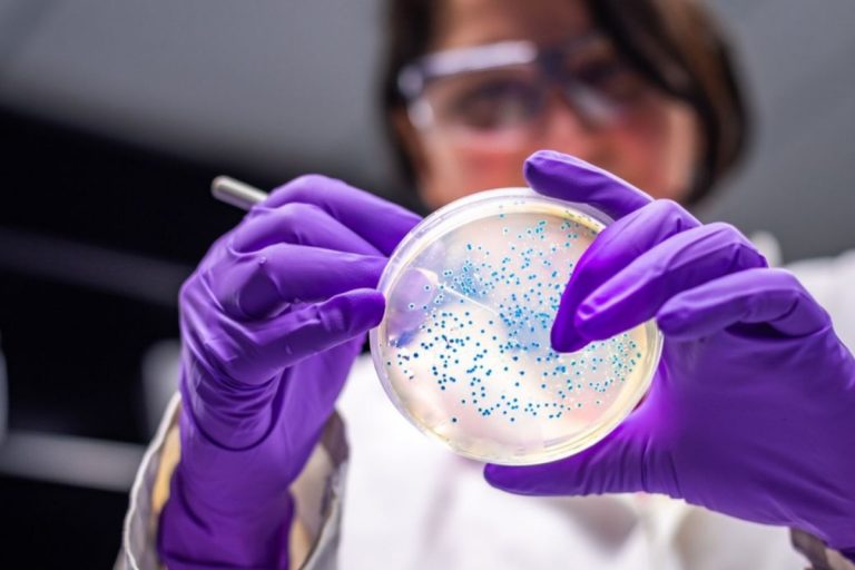 escherichia coli pizza buitoni