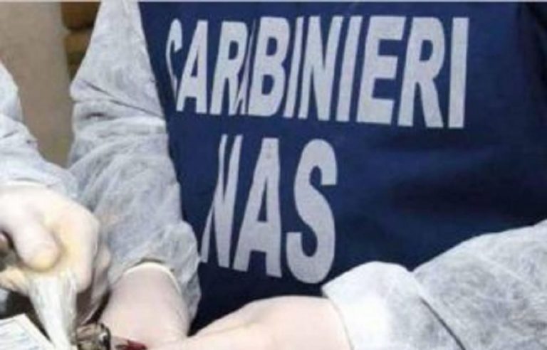 I Nas sequestrano 10 colombe: accertate delle irregolarità