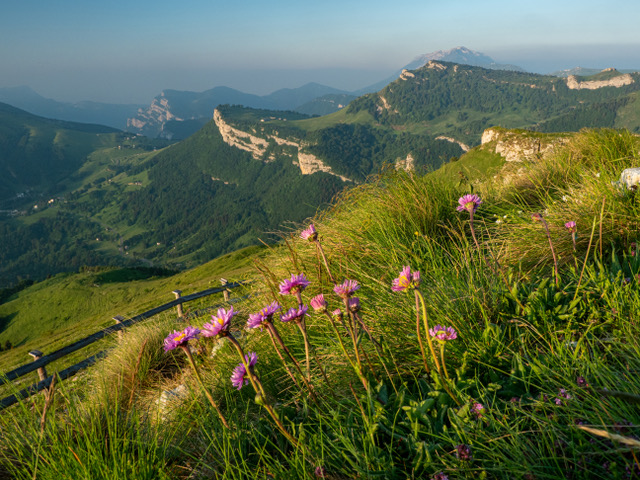 vallagarina monte baldo malga campo phmarco simonini