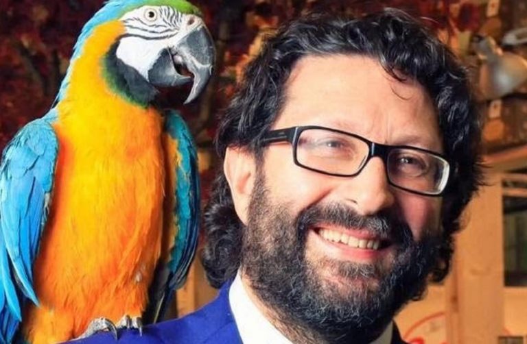 Alessandro Maja chi è