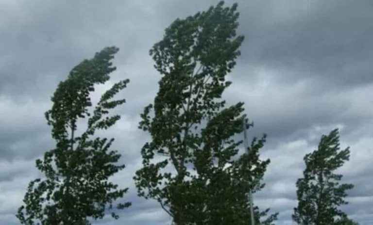 Allerta meteo