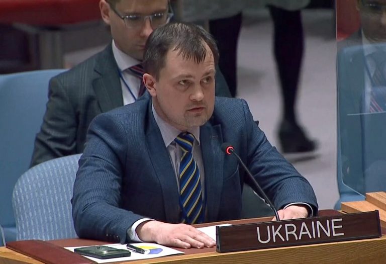 Sergiy Dvornik all'Onu