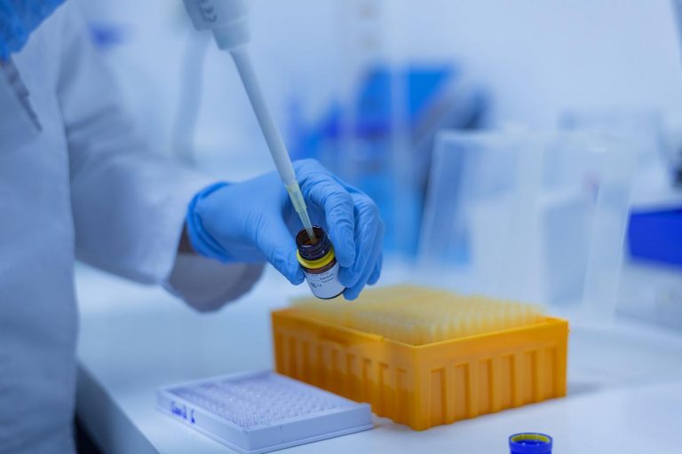 Laboratorio