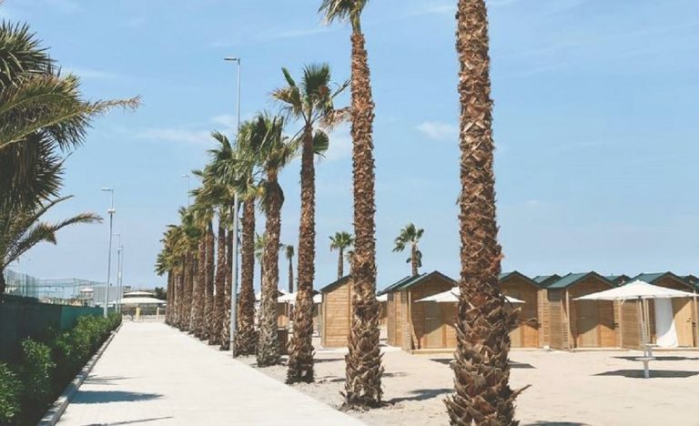 Un'immagine dello stabilimento Stella Maris con le palme una delle quali ha provocato la tragedia