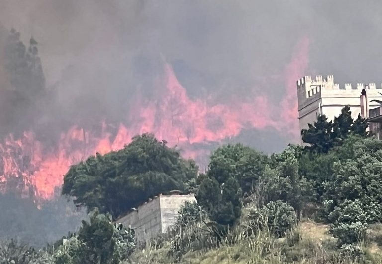 La montagna di Erice aggredita dalle fiamme