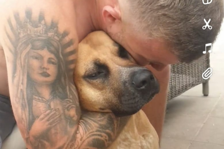 spagna salva cane