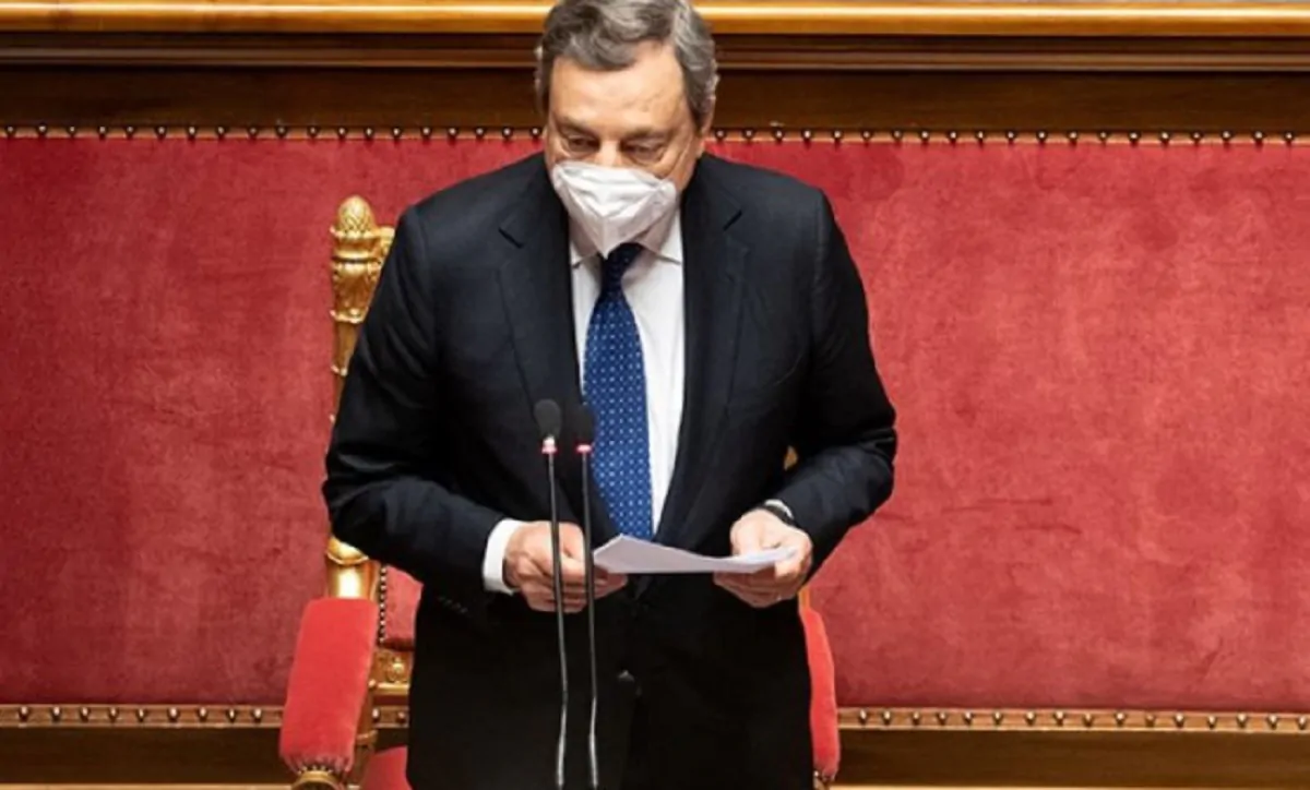 Draghi Senato armi