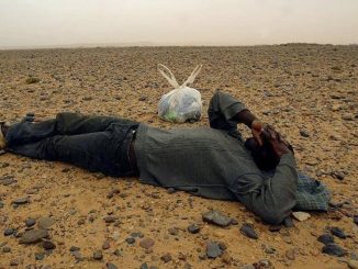 Venti migranti sarebbero morti di sete nel deserto del Sahara