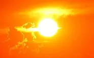 Il caldo uccide, ecco dove e come