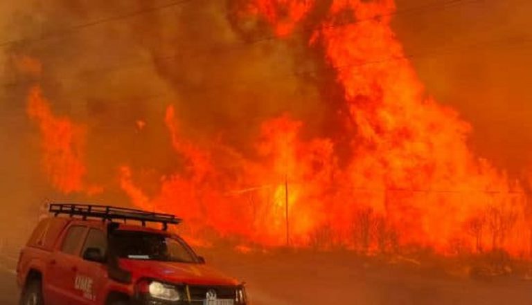 Bruciati 30mila ettari di terreno