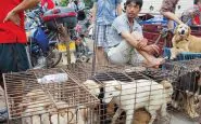 L'orrore di Yulin