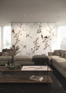 featured 1621432