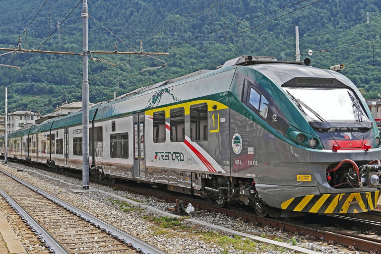 bambino autistico treno
