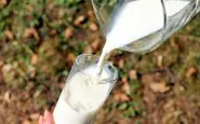 Il latte in Italia è rincarato del 20%