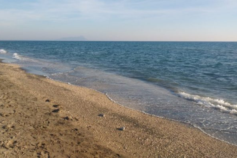 latina rene in mare
