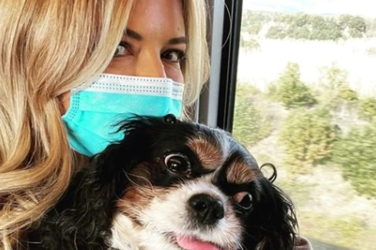 Selvaggia Lucarelli morto cane