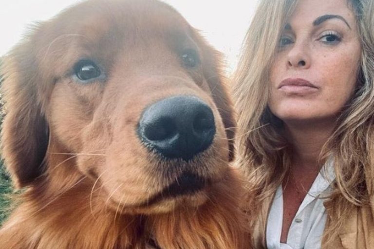Vanessa Incontrada cani
