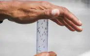 Febbre dengue