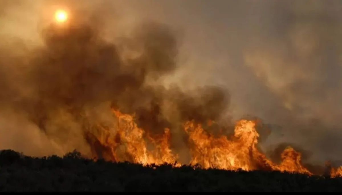 Incendio sul Carso