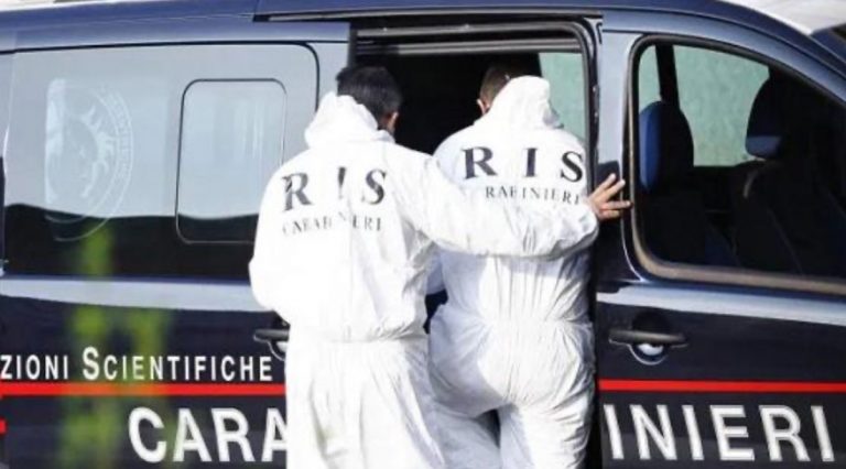 Ris