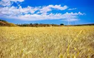 I russi starebbero bruciando i campi di grano ucraini