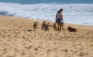 Il Tar boccia un ricorso animalista sui cani in spiaggia libera