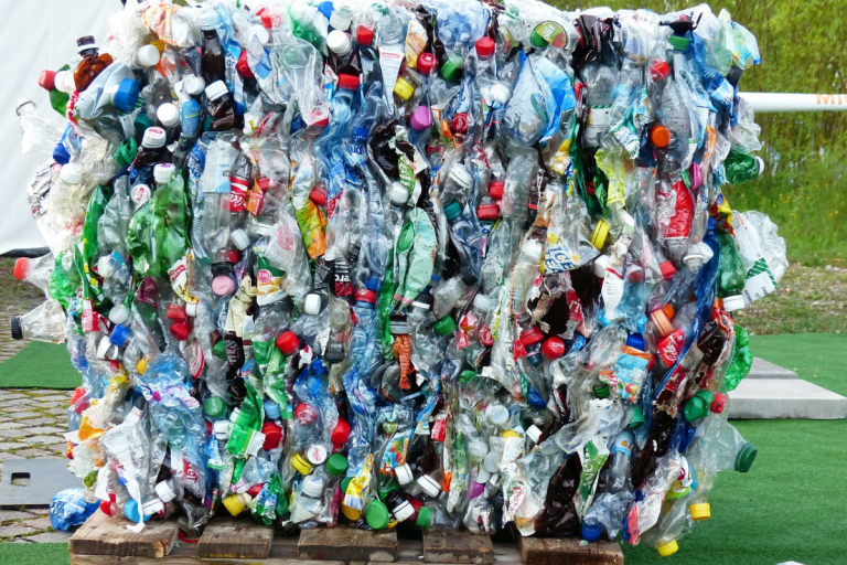 india plastica monouso