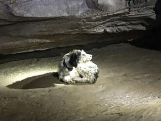 Abby "in posa" nella grotta dove è sopravvissuto per due mesi