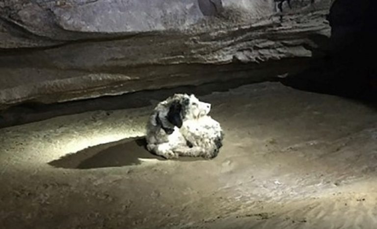 Abby "in posa" nella grotta dove è sopravvissuto per due mesi