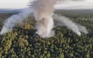 La foresta attaccata dalle fiamme