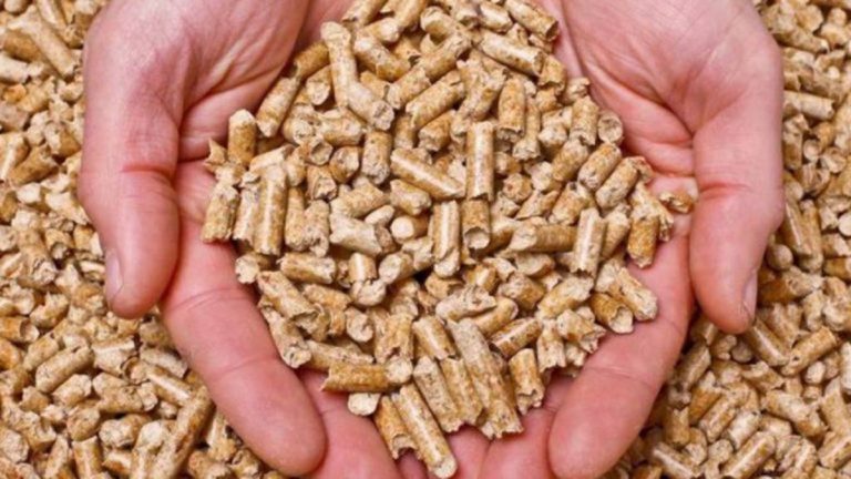 aumento prezzo pellet