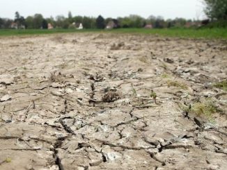 Francia nella morsa della siccità