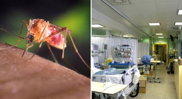 west nile