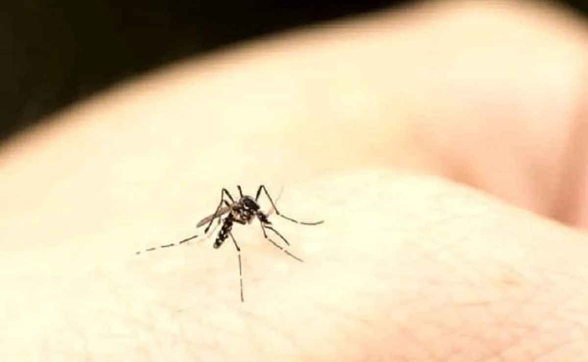 I sintomi del West Nile virus
