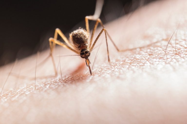 West Nile